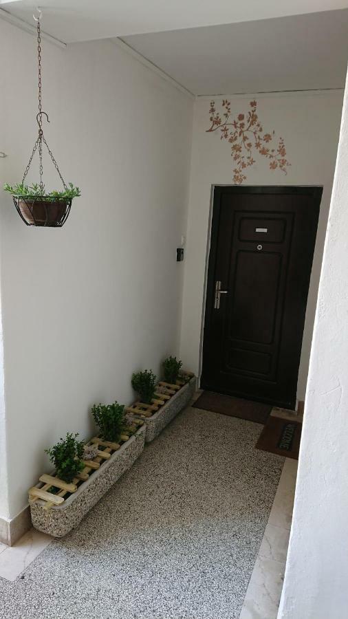 Zadar Center Apartment Extérieur photo